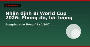 Nhận định Bỉ World Cup 2026: Phong độ, lực lượng và kèo