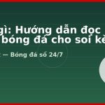 xG là gì: Hướng dẫn đọc chỉ số bóng đá cho soi kèo
