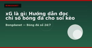 xG là gì: Hướng dẫn đọc chỉ số bóng đá cho soi kèo